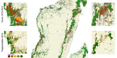 Peta dari Madagaskar deforestasi